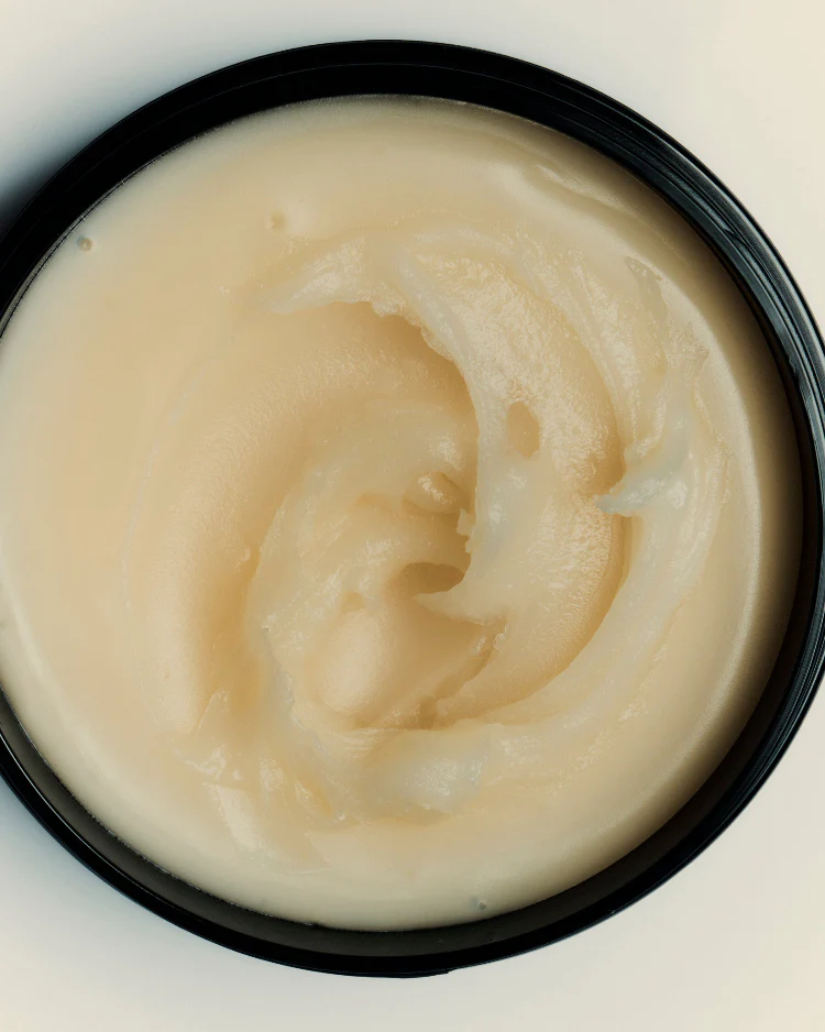 Jelly + Balm - Image 3